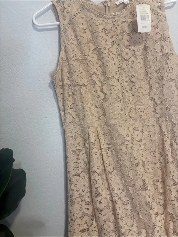 NWT Blu Pepper Beige Floral Lace Fit & Flare Dress large - Image 3