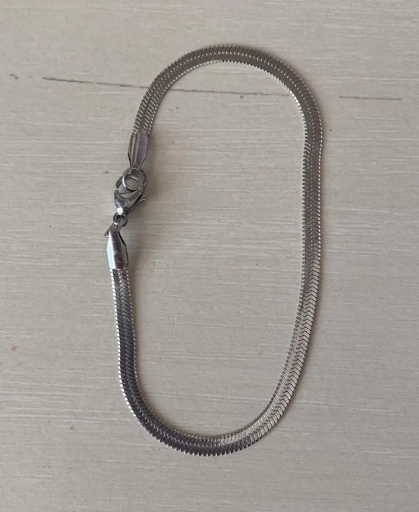 Madewell NWOT  Thin Flat silver Snake Chain Bracelet - Image 2
