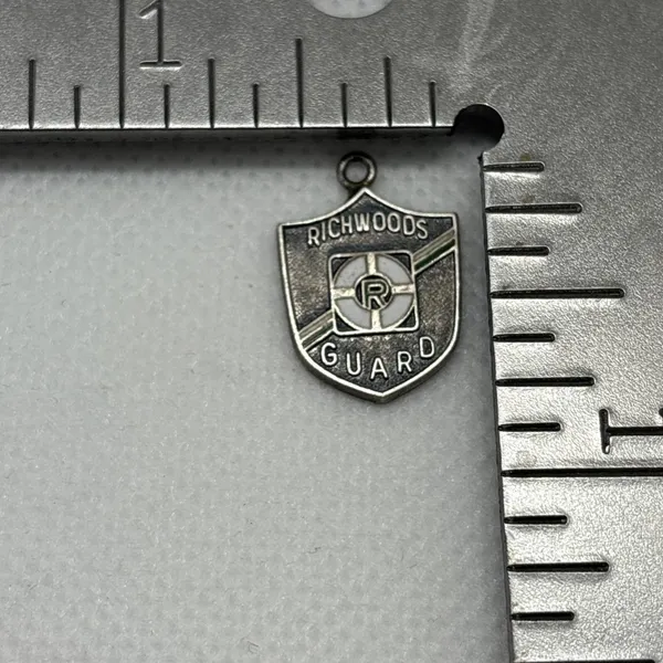 Vintage‎ Richwoods High SchooI Illinois Lot 3 Charm Pendant Sterling 925 Silver - Image 7
