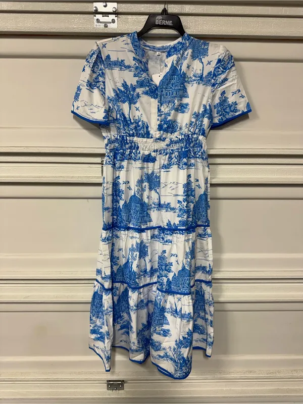 Rosa Clothing Landscape Porcelain Toile Print Flare Maxi Dress Medium New - Image 3