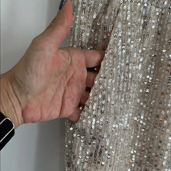 Loft Sequin Joggers Champagne - Image 8