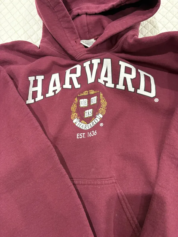 Gildan Harvard Hoodie - Image 2