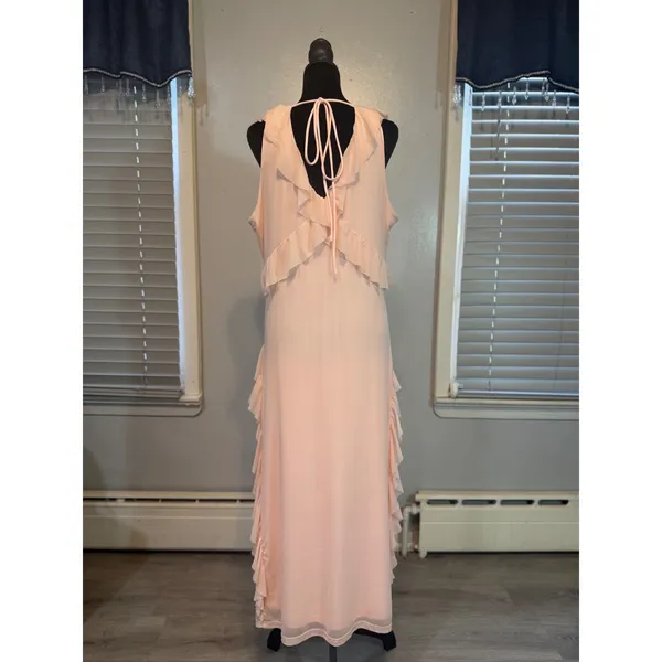 Glamorous Pink Ruffle Maxi Dress Sheer Layer Romantic Cottagecore Boho - Image 3