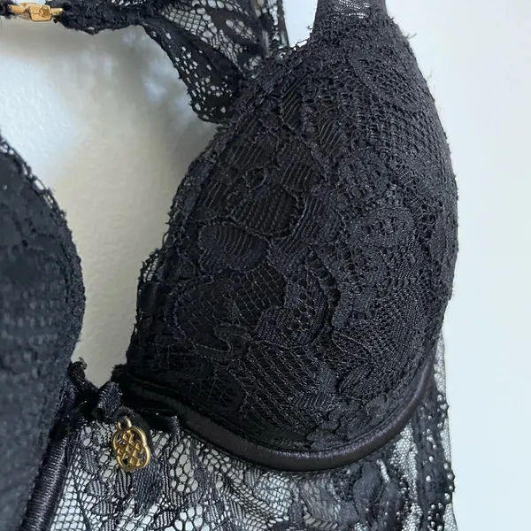 Daisy Fuentes Black Sheer Mesh Bodysuit - Image 4
