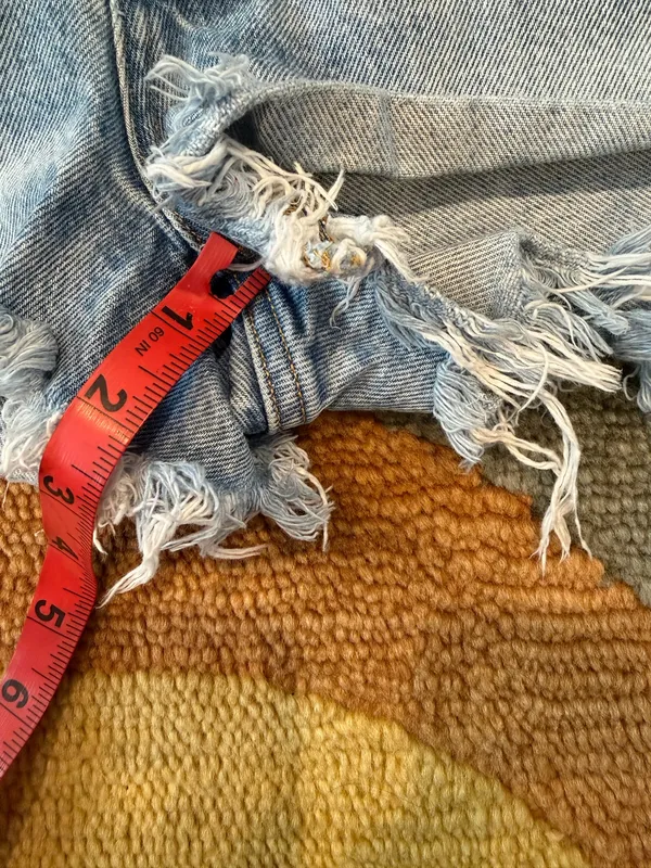 AGOLDE Parker Distressed Denim Jean Shorts Light Wash Very Deep Cuts Frayed 27 - Image 4
