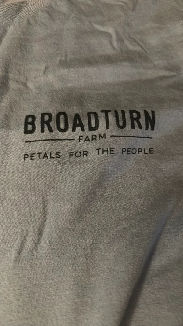 Blue tee Size L - Image 5