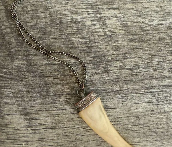 Vintage Fang Tooth Necklace Discoloration - Image 3