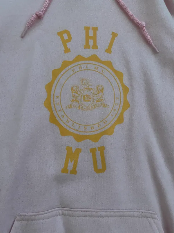 Gildan Phi Mu Pink Fleece Hoodie - Image 2