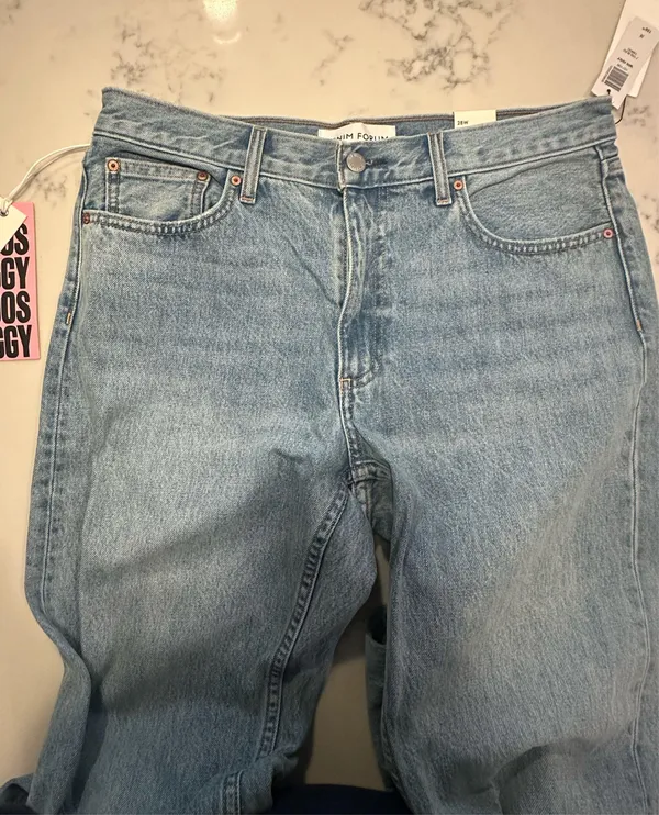Aritzia Denim Forum Low-Rise 90s Iggy Baggy Jeans - Image 5