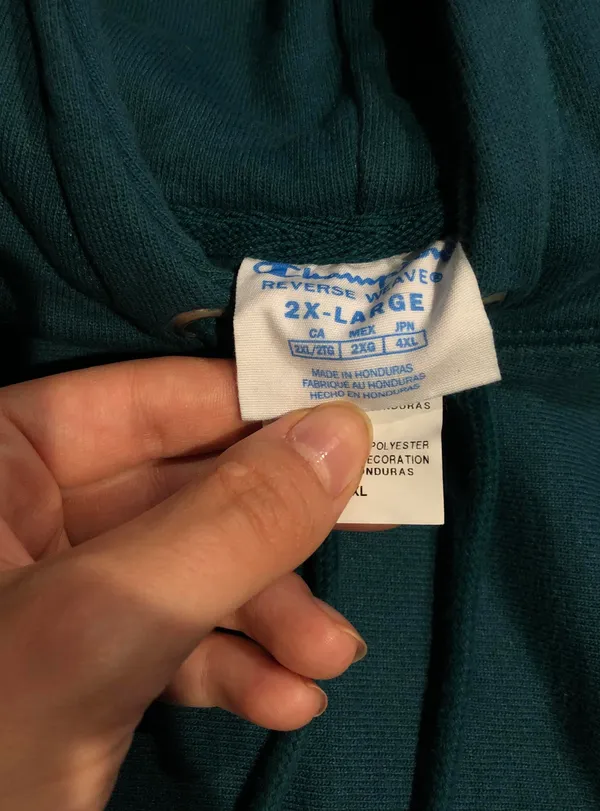 Champion Hoddie - Image 4