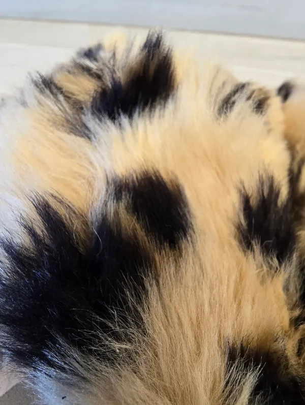{7} TOMS Susie Eva Leopard Slippers Fuzzy Furry Black Tan Loungewear - Image 6