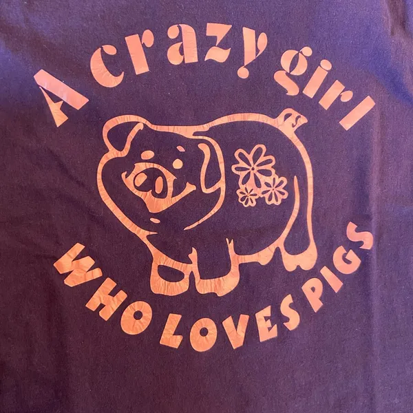 ‘A Crazy Girl Who Loves Pigs’ Funny Graphic T Shirt 🔥 - Image 4