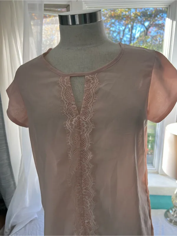 Japna Soft Pink Lace-Front Cap Sleeve Blouse - Image 4