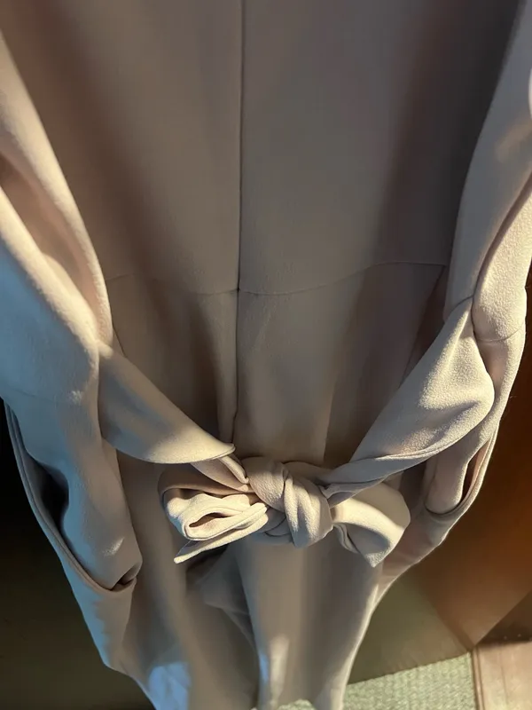 Light Pink Express Jumpsuit - Image 5