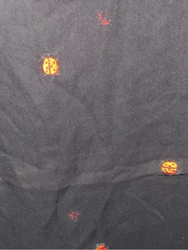 Black Sheer Scarf with Red Embroidered Ladybugs - Image 5
