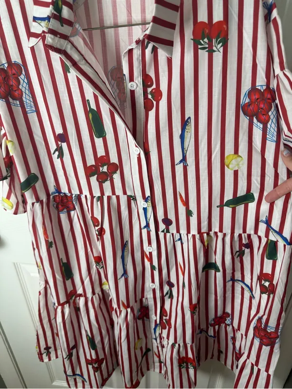 Petal & Pup Peachy Mini Dress in Red Picnic Stripe L - Image 4