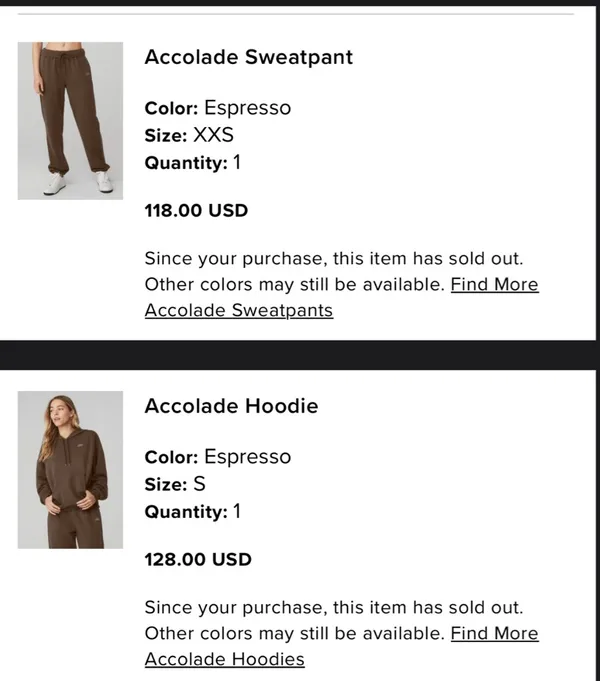 Alo Yoga Sweat Set - Image 8