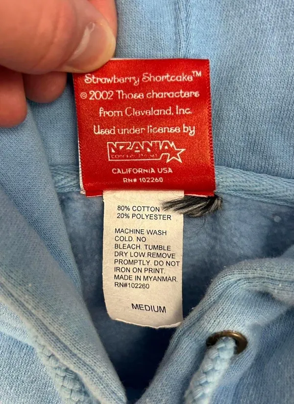 Vintage Strawberry Shortcake Hoodie - Image 3