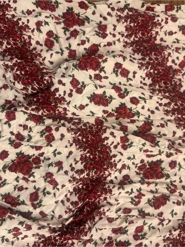 BRANDY MELVILLE‎ Y2K Rose 🥀 Print Mini Dress - Image 5