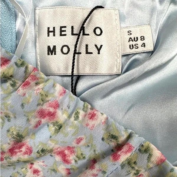 Hello Molly - Sylvan Scenes Floral Crop Top in Blue and Pink - Image 4
