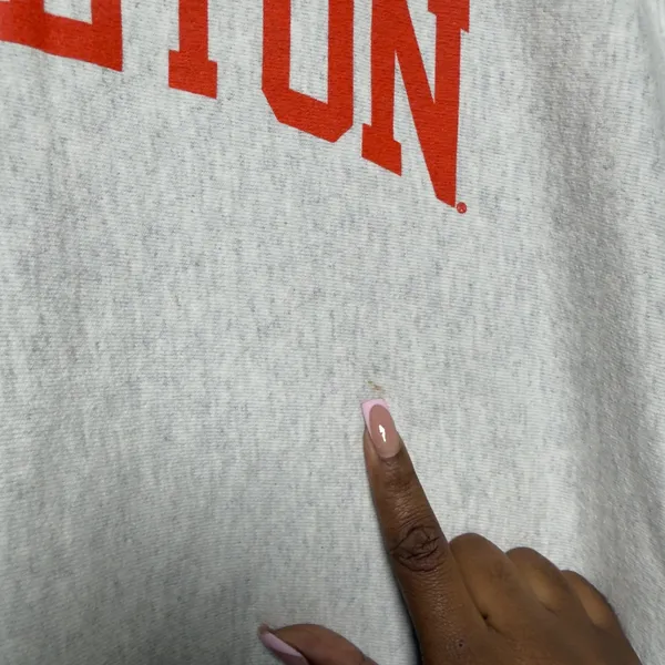 Champion Unisex‎ Cotton Sweatshirt Large Gray Princeton Reverse Weave Crewneck - Image 3