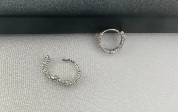 Huggie Small Hoop Earrings for Men Women Streetwear Hip Hop Unisex Style - Image 3