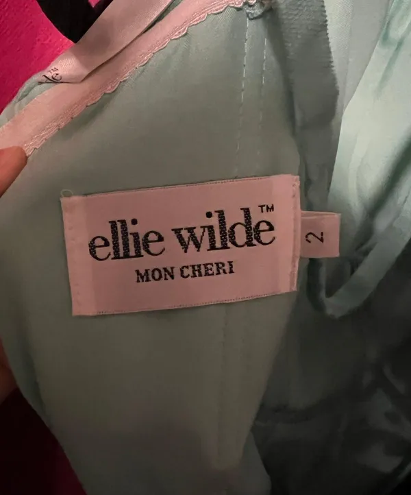 Ellie Wilde Prom Dresss - Image 3