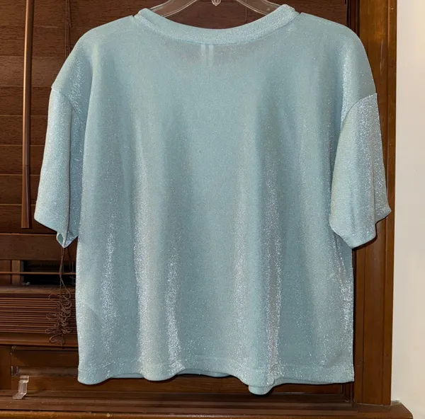 Anthropologie NWT $68 By Sky Blue Short-Sleeve Shine Cropped Pullover Tee M - Image 5