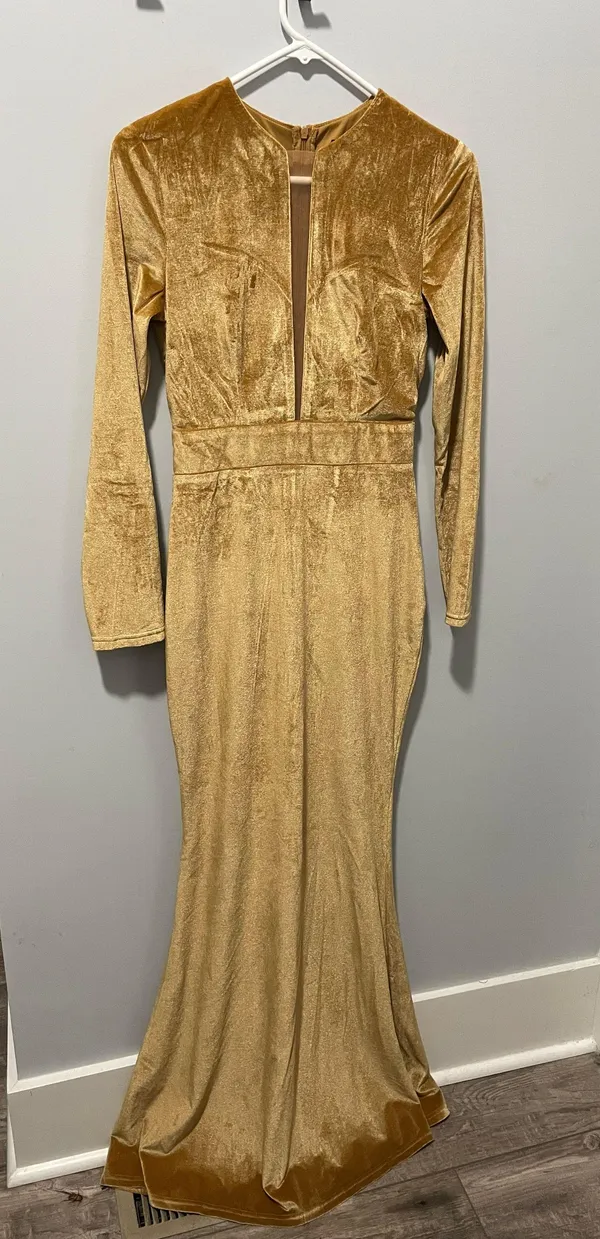 Miss Ord Velvet Gown - Image 3