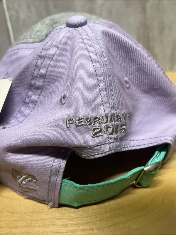 NASCAR Daytona 500 February 2015 The Chase Lavender Baseball Cap New Adj. - Image 5