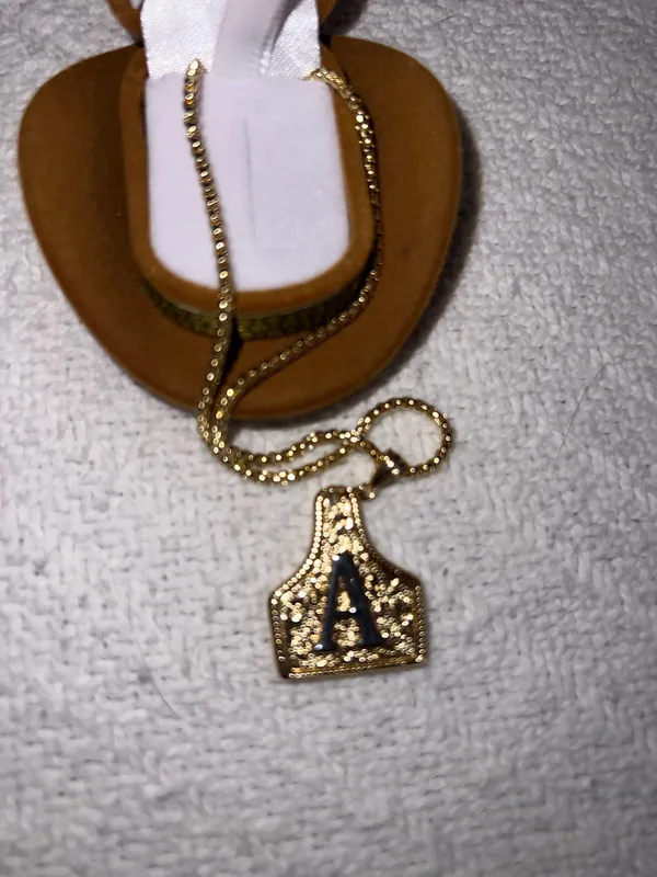 Gold Initial 'A' Western Necklace - Image 4