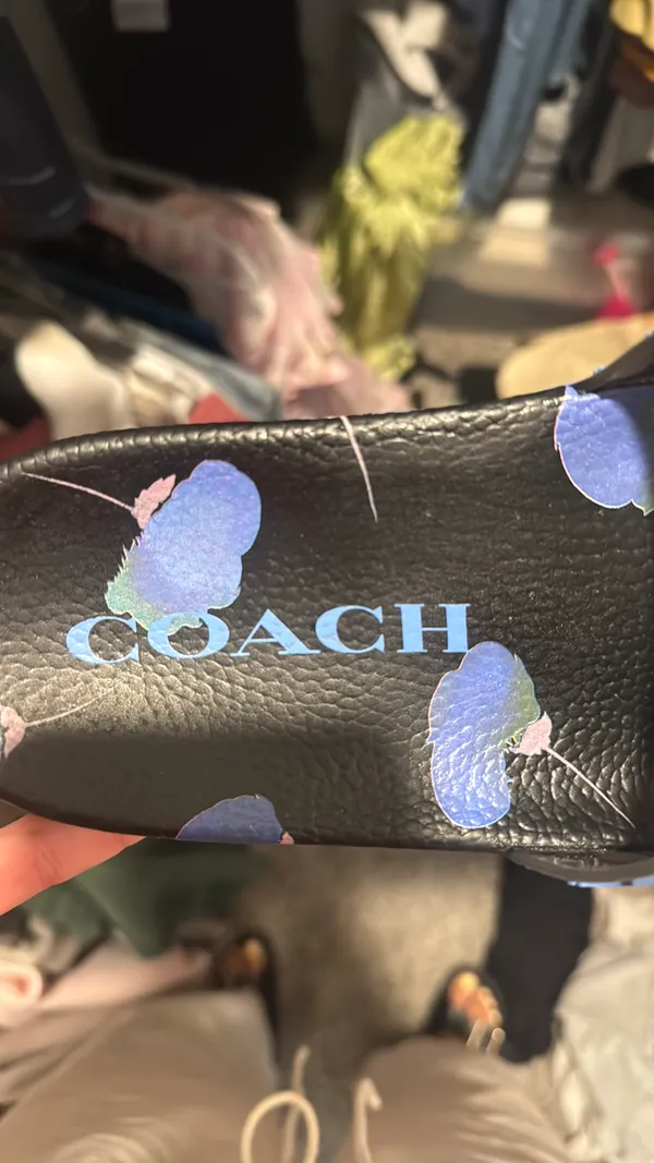 Coach Slides - Image 5