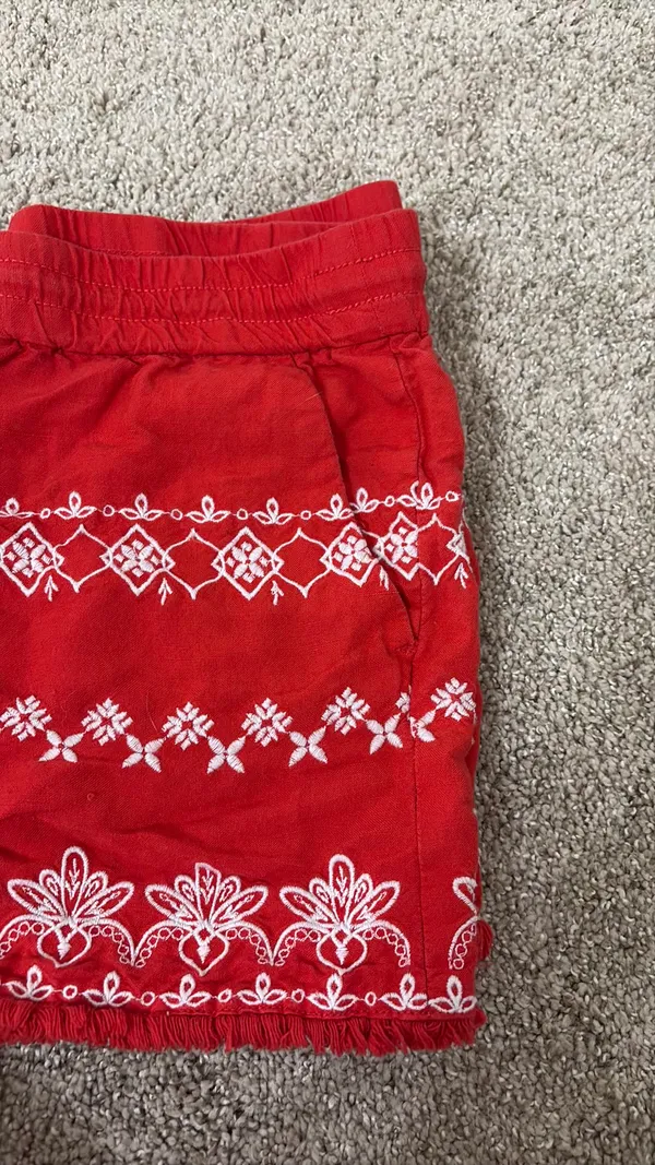 Loft Linen Embroidered Shorts - Image 3