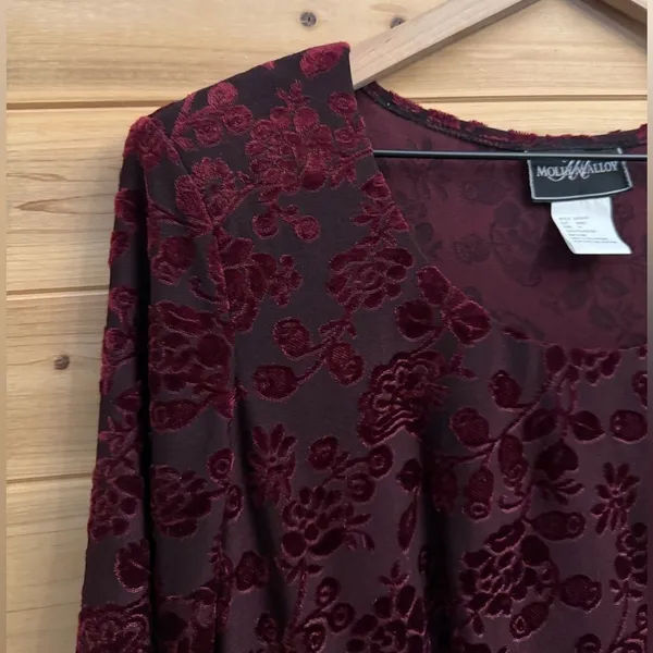 Vintage Molly Malloy Medium Floral Burnout Velvet Long Sleeve Whimsigoth Dress - Image 2