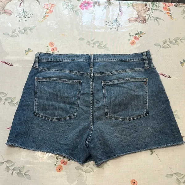 Madewell High-rise denim Blue Jean Shorts Raw Frayed Hem Size 32 - Image 2