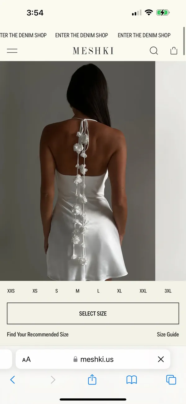 Meshki Dress NEW  - Image 4