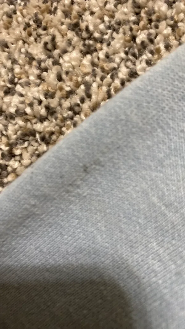 Carhartt Sweatshirt - Image 6