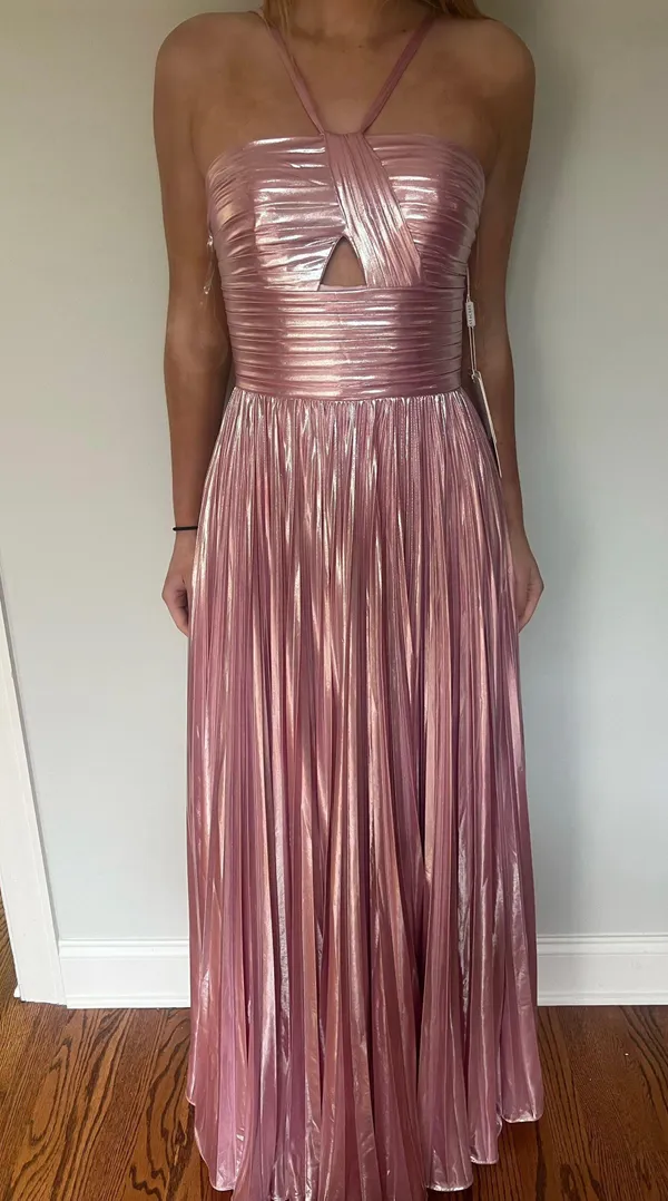 Blush Pink Pleated Prom/Formal Dress - Image 5