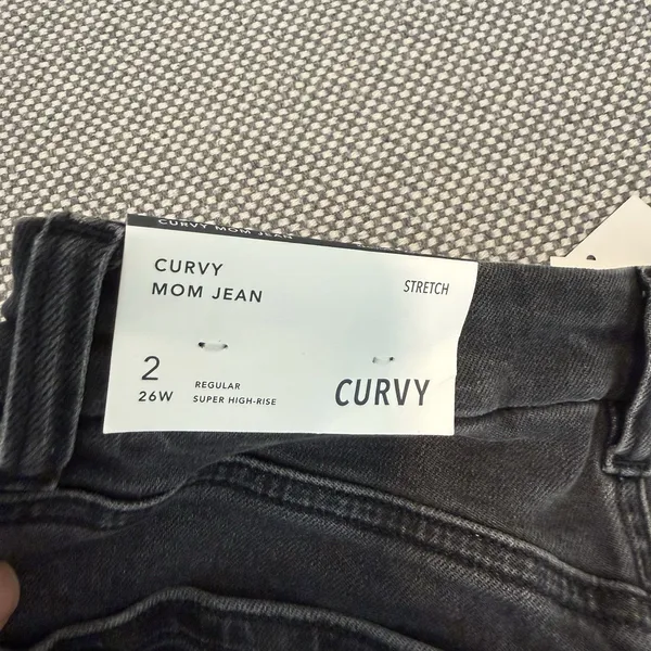 American Eagle Jeans CURVYMOM JEAN Size 2/26W - Image 3