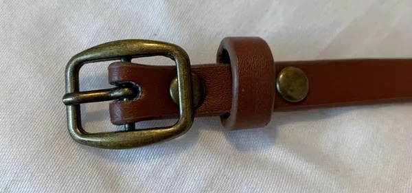 Target NEW Belt - Image 3