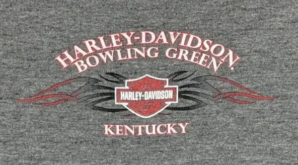 Harley Davidson Top - Size L - GUC - Image 4