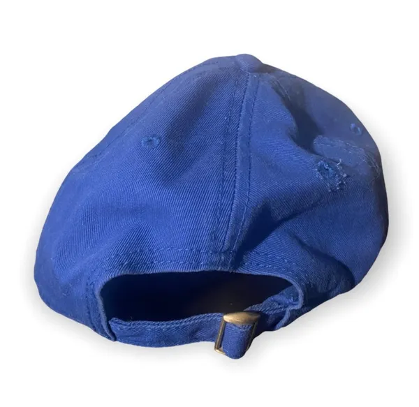 Urban Outfitters Dunder Mifflin The Office Blue Hat - Image 3