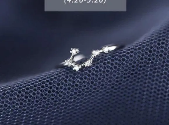 Taurus Zodiac Adjustable Ring Silver - Image 2