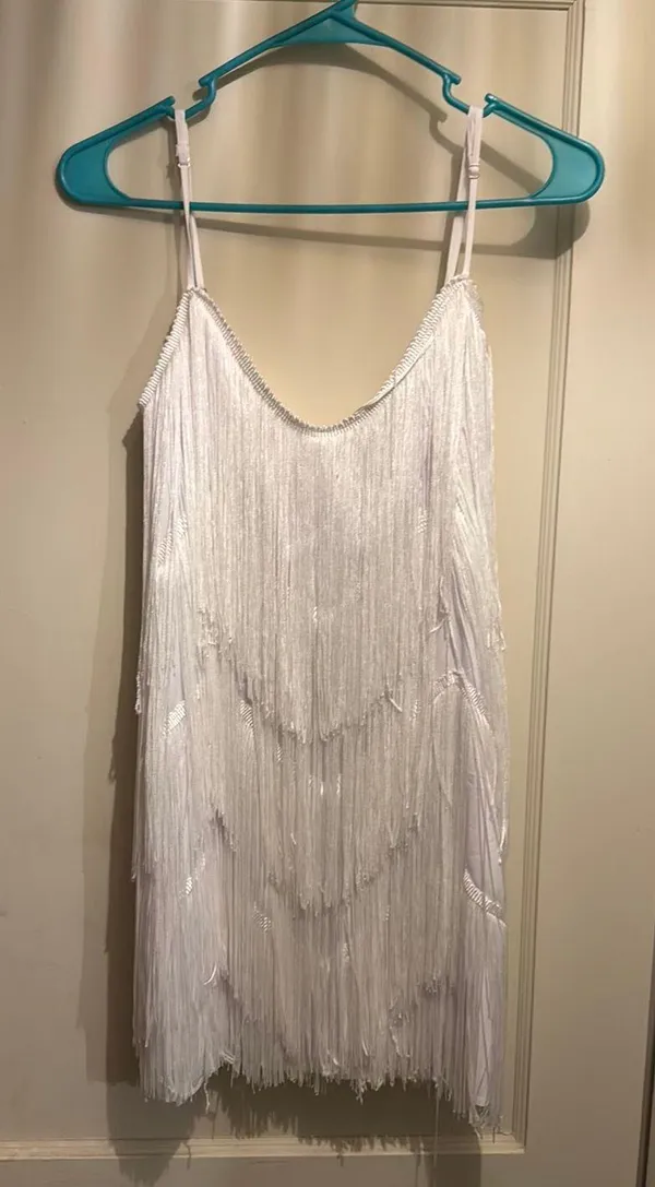 Showpo Dress - Image 2