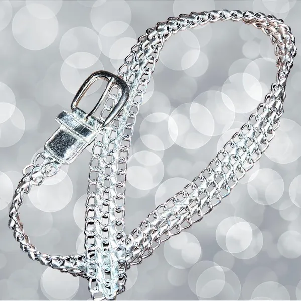 Nwot! Silver chain link look metal/faux leather belt! - Image 5