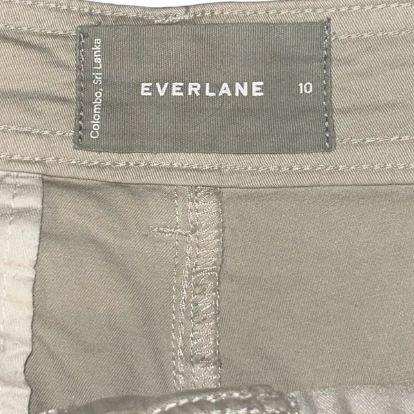 EVERLANE straight pleated hi-rise chino. Size 10. Sandstone EUC - Image 6