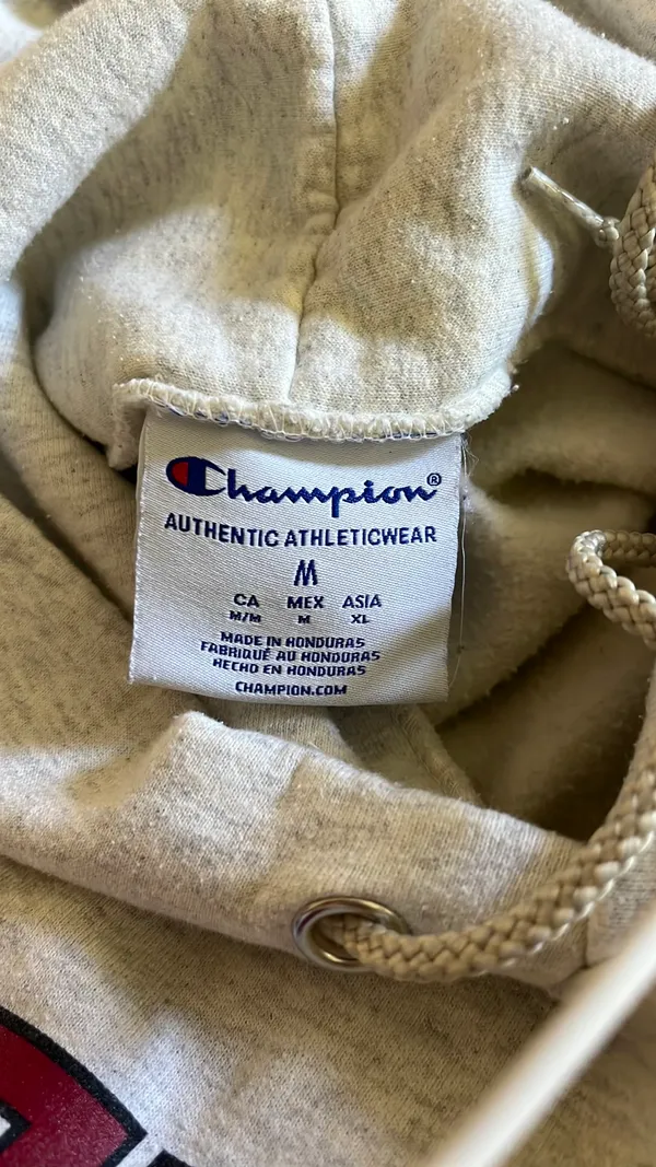 Temple University Champion Hoodie - Image 2
