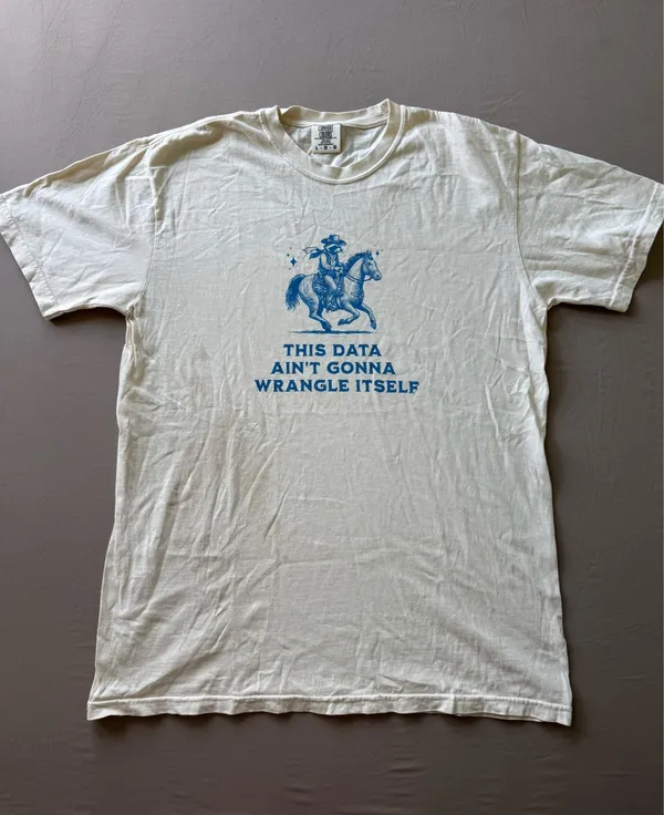 Data Wrangler Cotton Comfort Colors Tee - Image 4