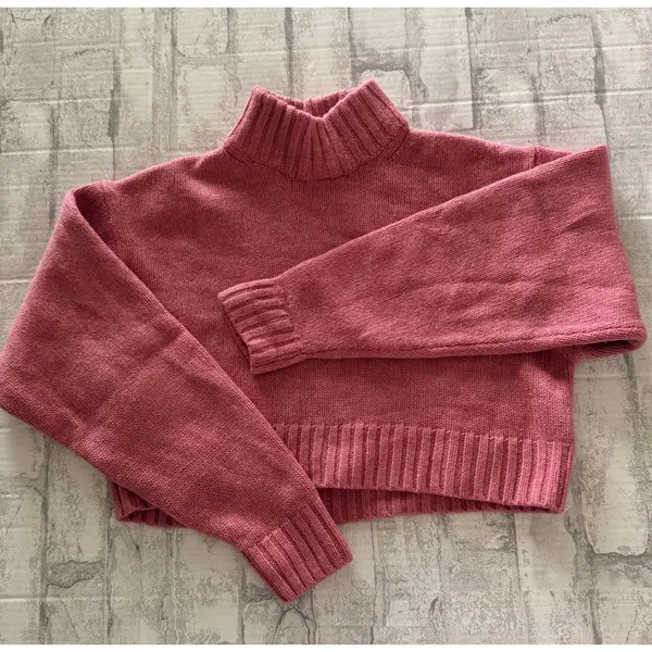Wilfred Free Harper Merino Wool Relaxed Fit Turtleneck Sweater Top Knit Sz S - Image 2