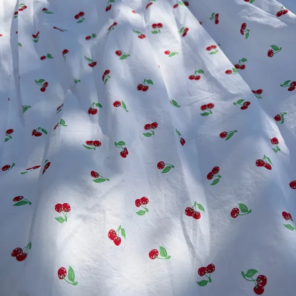 Aerie Skirt | Size M - Image 9